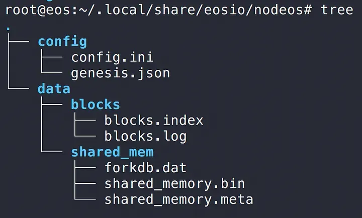Internal structure of ~/.local/share/eosio/nodeos